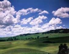 Charles Gurche - Moscow, Idaho, De. Gurche, ������