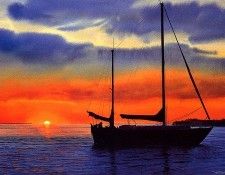 bs-ahp- Donald W Patterson- Bay Splendor. ���������, ������� W