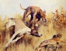 Wardle Arthur Greyhounds in chase of a rabbit Sun. , 