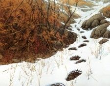 kb Doolittle 01 02 Doubled Back. �������, ���