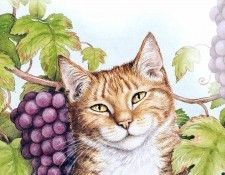 kb Cook Debbie 2001 11. , 