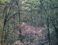 art 697. , 