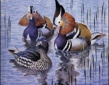 43619. Tunnicliffe, ������