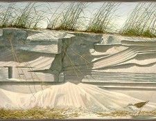 Harrison-Sandpiper-sj. ��������, Curwood