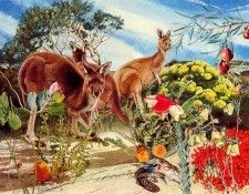 Oz AGls105 Tony Oliver Western Grey Kangaroo. ������, ����