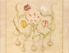 42547. ����, Cheri