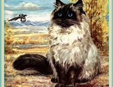 Ds-Cats Art 12 Marge Opitz Buridge. Buridge, ����� Opitz