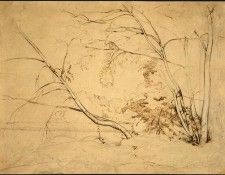 Corot Clump of Trees at Civita Castellana, 1826, NG Washingt. , --