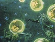 lrs Delamare David Mermaid Eggs. , 