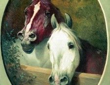 ��� ������. �������� ������� �������� (1817-1898)