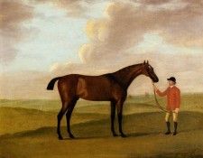 Sartorius Francis Captain Dennis O Kellys Basilimo Held By A Groom. ���������, �������