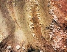 art 690. ������, �����