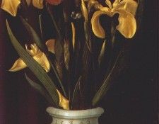 ring vase-i (reddish brown and yellow iris blossoms) 1562. ������