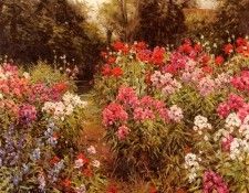 Knight Louis Aston A Flower Garden. , Louis Aston