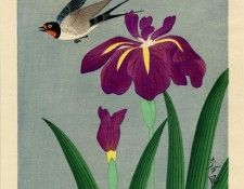 pic13687. ���, ������