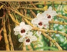 cr KatharineFlynn-PrimalGarden. �����, ������