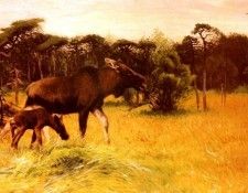 Kuhnert Wilhelm Moose With Her Calf In A Landscape. Kuhnert, 