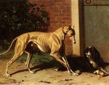 Cunaeus Conradyn A Greyhound And A Shepherd Dog. , Conradyn