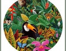 bs-na- Charles Lynn Bragg- Rainforest Magic. �����, ������ ����