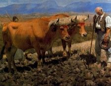 30062. Olano, ������� ����