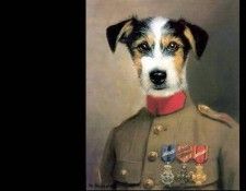 dog portraits csg050 percival horace denbeigh. , 