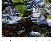 A Mountain Alphabet 0018 R AndrewKiss sqs. �������, ������