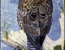 43623. Tunnicliffe, ������