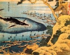 pic09493. �������