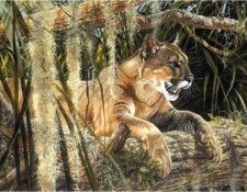 MatthewHillier CreatureComforts ec. , 