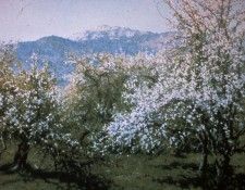 WHITNEY Richard Abandoned Orchard 25x35 35mm slide. �����, ������