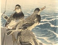 pic09278. ����, ���� �����