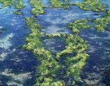 art 722. ������, �����