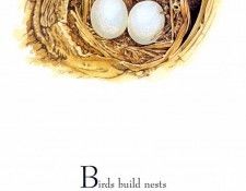 kb Oliver Tony BBN05. ������, ����