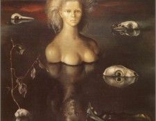 CULE05-FrogP-Fini. ����, ������