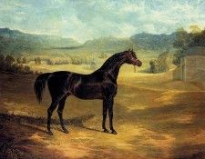 25936. ������, ���� ��������