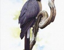 Cunieform 022c-Schouten. ��������