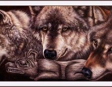 bs-na- Judi Rideout- Spirits Freed. Rideout, 