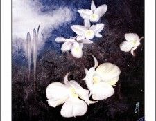 CSCU aping 2k3 wang ke yin 053. ��� ��� ��