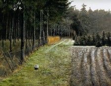 Verstappen Pieter Nature 65 Sun. Verstappen, 