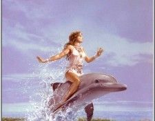dolphin dreams. , 