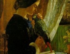 The Grey Parrot. Deverell  Howell