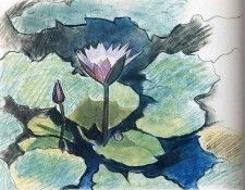 img476. ������, �����