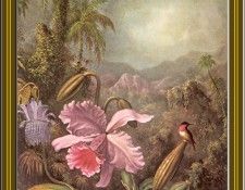 Martin J Heade-Orchids And Hummingbird (1880) Po Amp 029. ,  