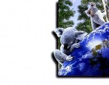 jw Shimm Shimmel Wall 003. , Shimm