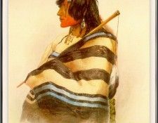 Bodmer untitled-sj. ������, ����