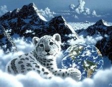 schimmel-bed-of-clouds. Schimmel, 