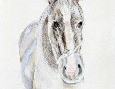 art 251. �����, ������