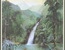 WoodWilliam 20 TropicWaterfall-We. , 