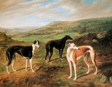 Norton Benjamin Three greyhounds Sun. , 