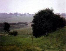 richter meadowland. , 